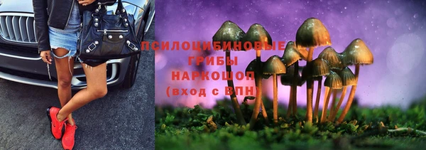 молекула духа Алексеевка