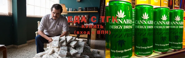 дмт Алексин