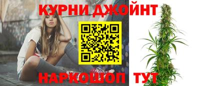 крисы Коммунар