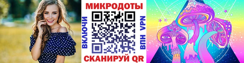Псилоцибиновые грибы Cubensis  купить закладку  Благовещенск 