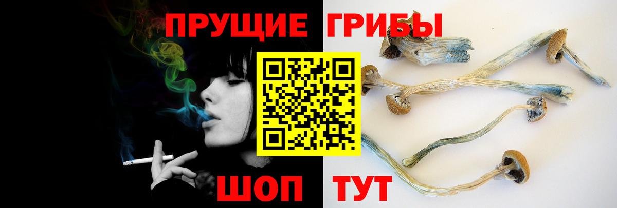 Псилоцибиновые грибы мицелий Благовещенск